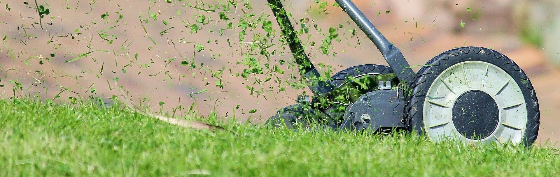 Richtig Rasenmähen wie die Profis MOOWY