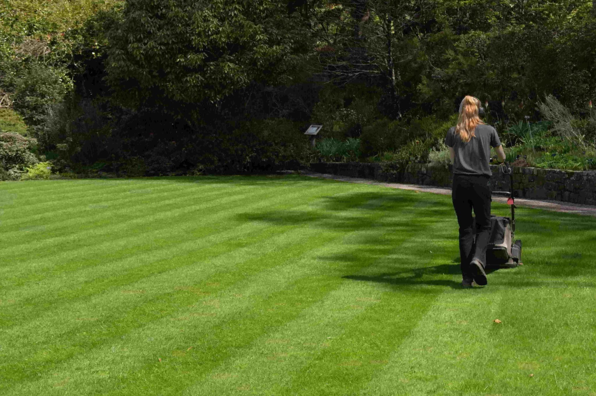 Richtig Rasenmähen wie die Profis MOOWY