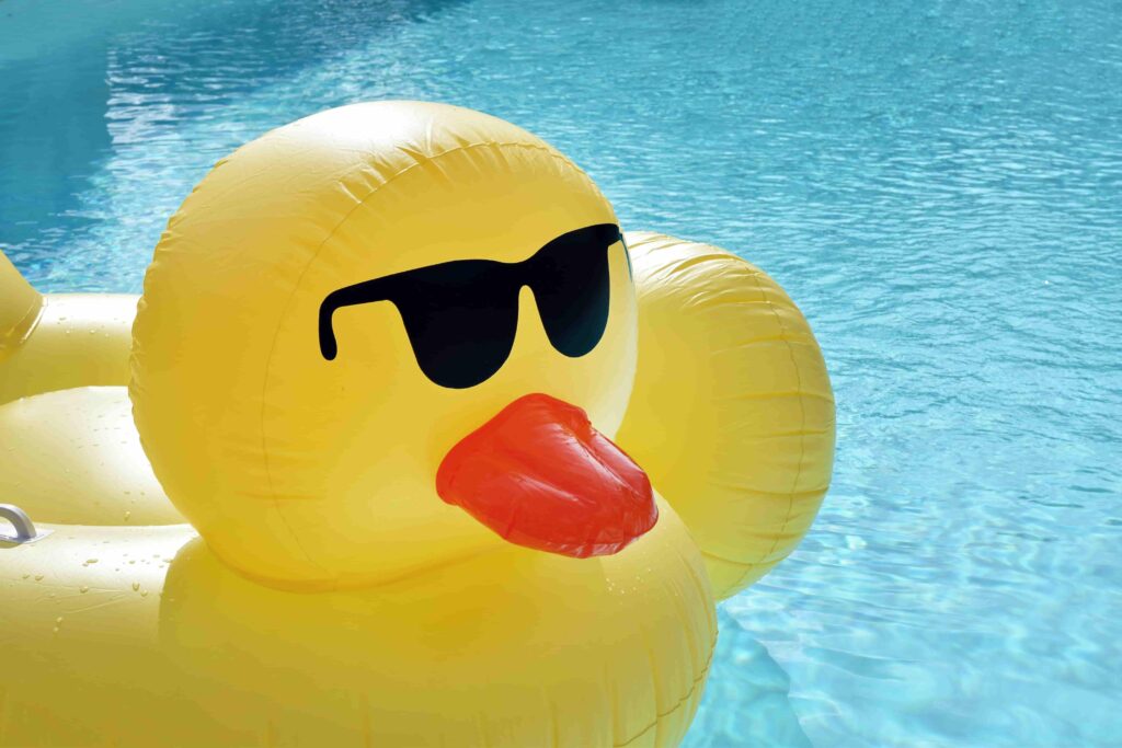 Ente schwimmt im Gartenpool