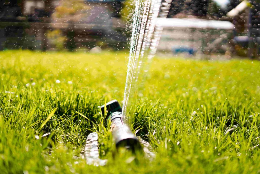 Rasen wässern mit Sprinkler