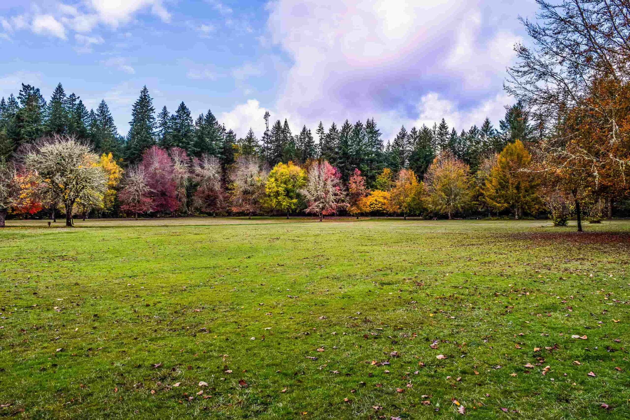 Rasenpflege im Herbst von Vertikutieren bis Mähen