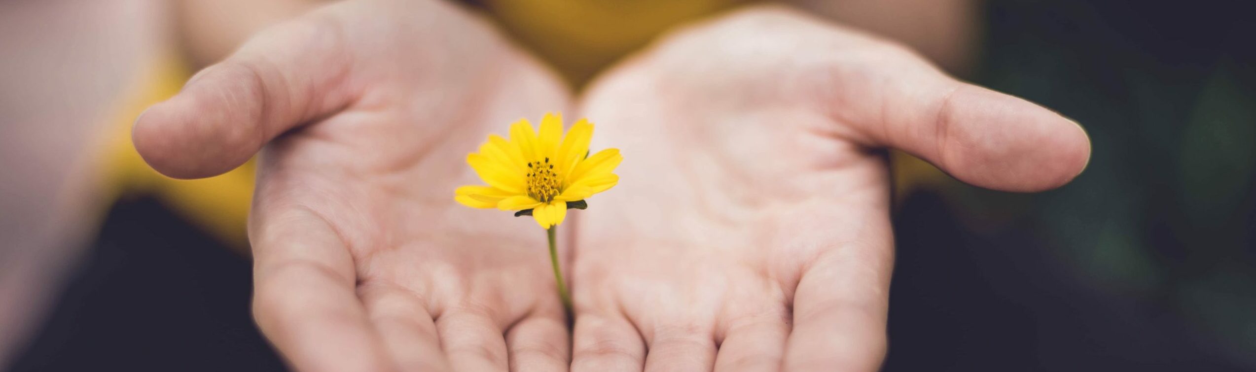 Die 10 besten Geschenkideen für Gartenliebhaber