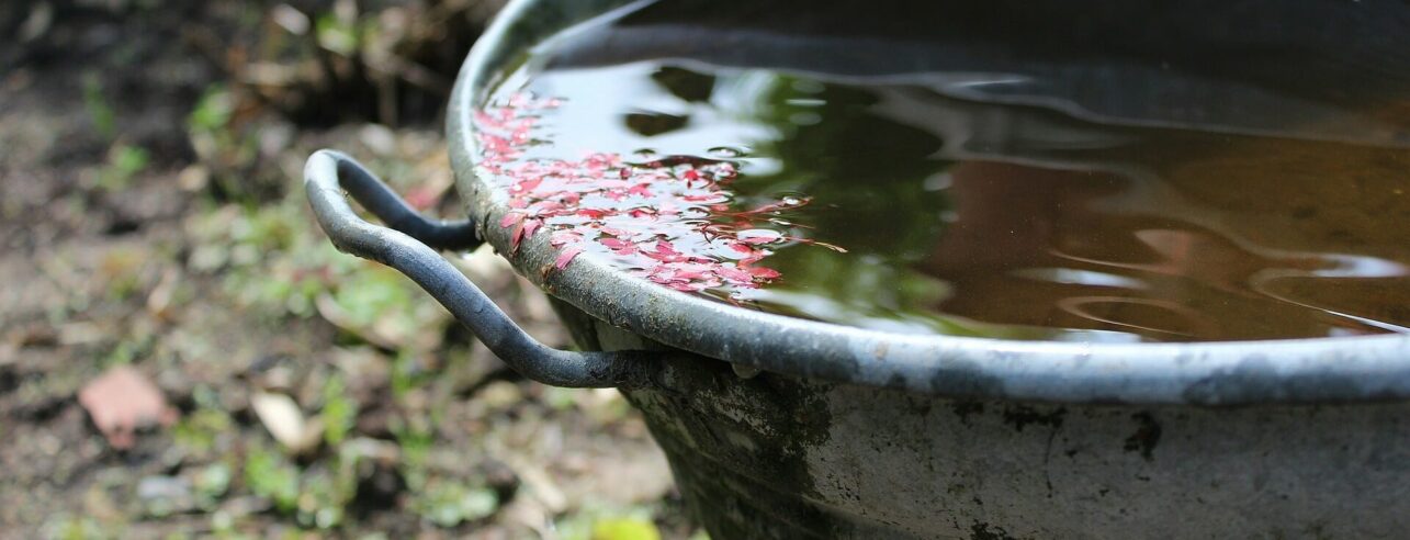 Harvesting rainwater with a bucket