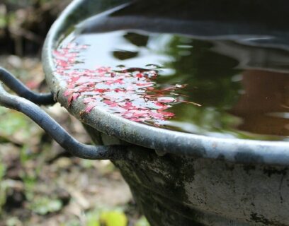 Harvesting rainwater with a bucket