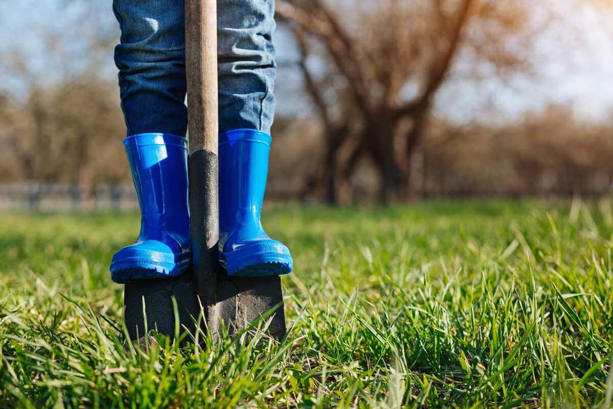 Rasen umgraben oder nur Samen nachsäen? So erneuerst du dein Grün kostengünstig