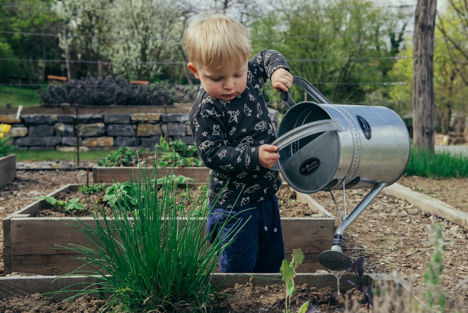 Gärtnern mit Kindern viel Spaß im Freien MOOWY