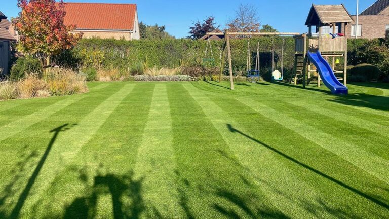 Windfeste Pflanzen für windige Gärten und Balkone MOOWY