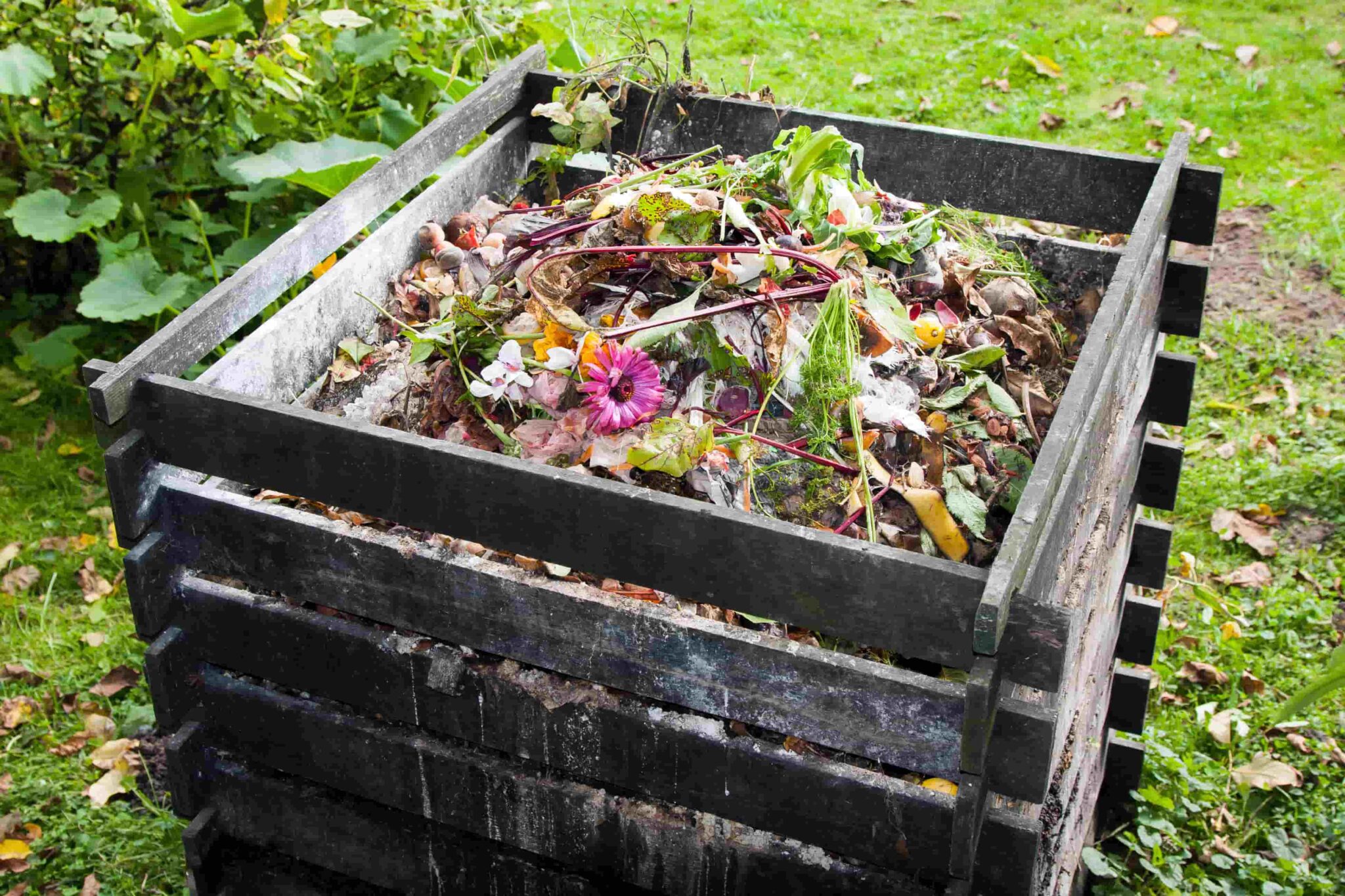 Richtig kompostieren für Anfänger