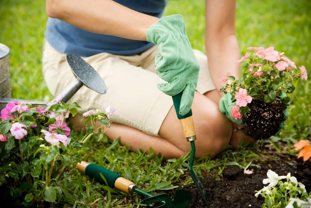7 Gründe, warum Gartenarbeit gut für deine Psyche ist