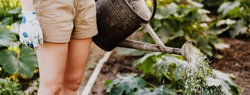 Eine Gärtnerin gießt ihr Beet bei der Gartenpflege im April.