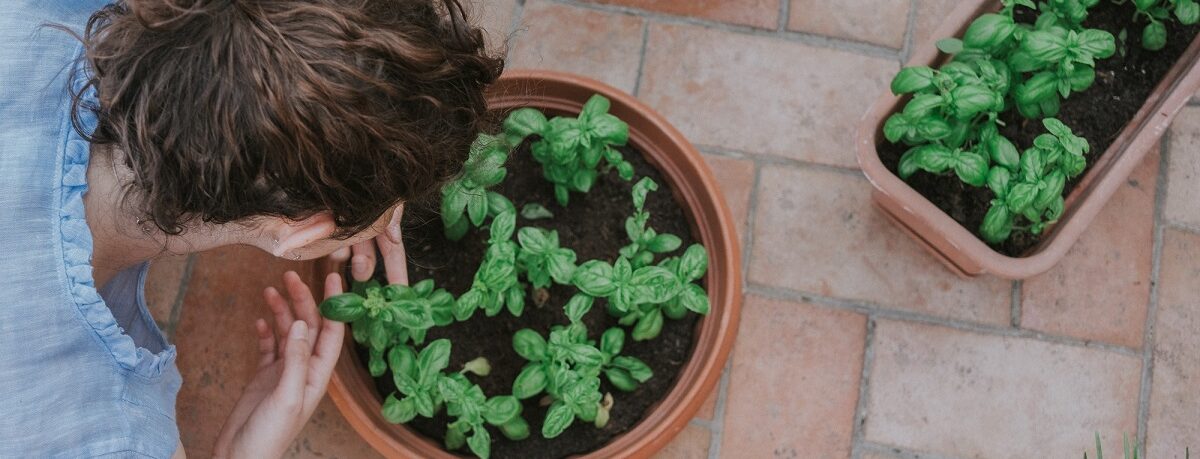 Gartenpflege mit kleinem Budget.