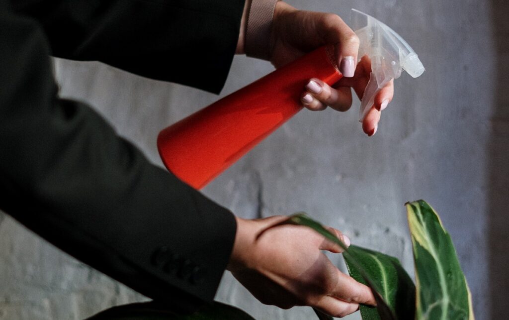 Eine Gärtnerin besprüht ihre Pflanzen mit einer roten Sprühflasche.