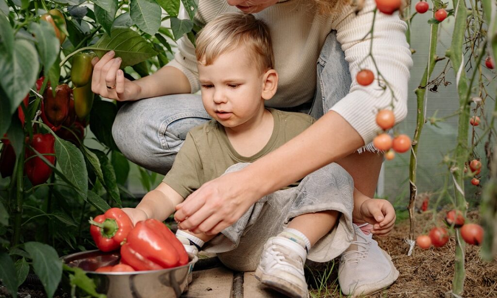 Ein Kind hilft bei der Ernte von Obst, Gemüse und Kräuter.
