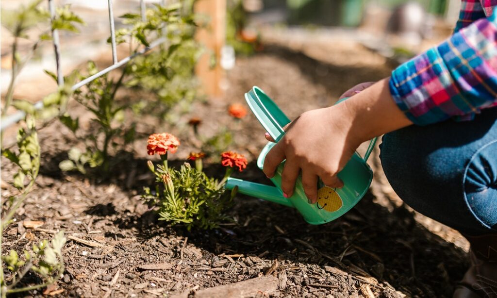 Ein Kind gießt eine mit Mulch bedeckte Blume im Sommer Garten.