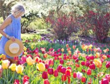 Eine Frau läuft in einem blauen Kleid durch einen Sommer Garten voll mit bunten Tulpen.