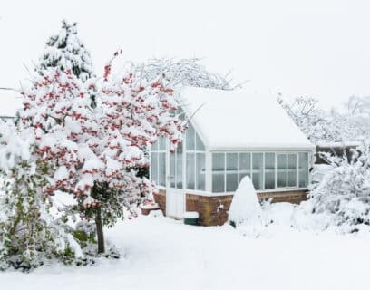 Schneebedeckter Garten – Gartenarbeit im Januar