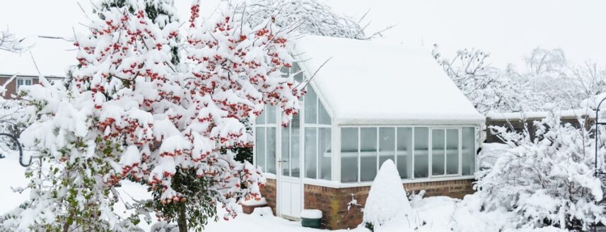 Schneebedeckter Garten – Gartenarbeit im Januar