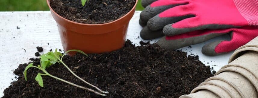 Blumenerde, Handschuhe und Topf zum Pflanzen-Umtopfen