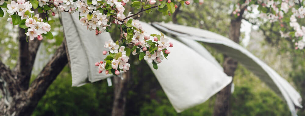 Blüten und Wäsche im Wind